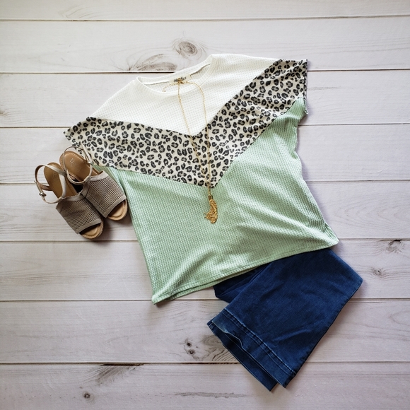 Sage & Animal Print Color Block Top - Picture 1 of 3